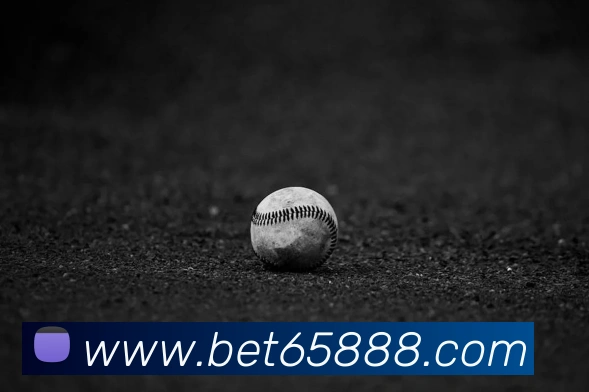 多彩内容专区